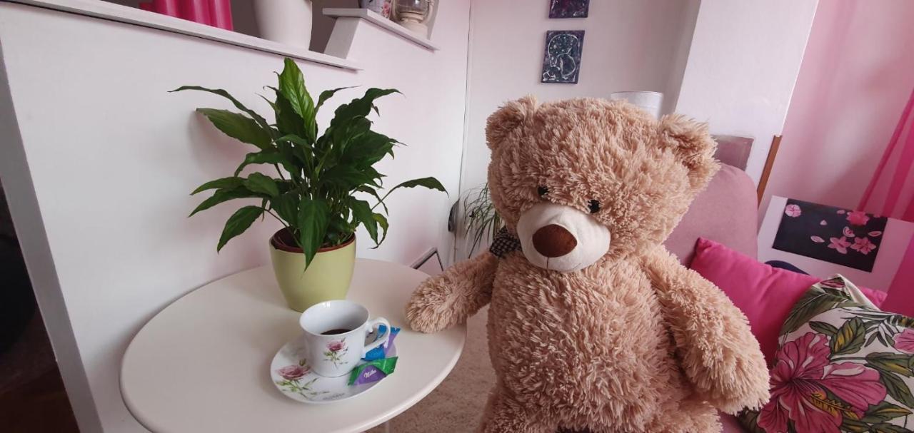 Daisy Apartment พูลา ภายนอก รูปภาพ